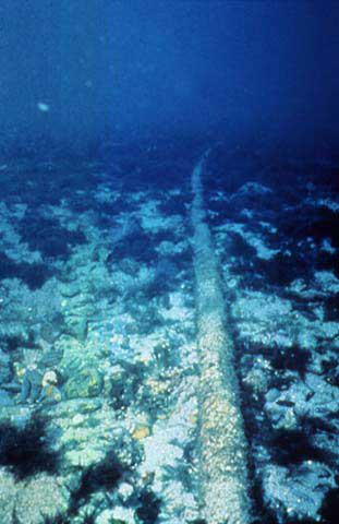 submarine fiber optic cable