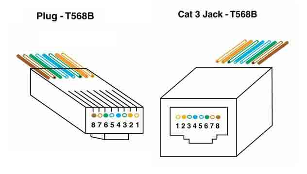 T568B plug and jack